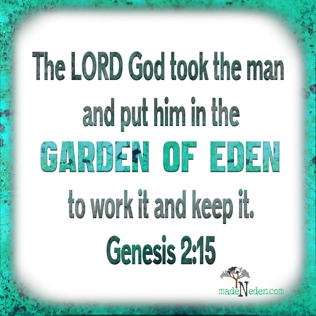 madeNeden Bible Verse Genesis 2:15