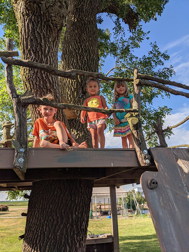 kids tree fort tree house