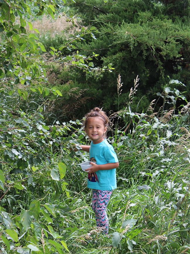 Kai picking mulberries